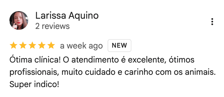 Dentista dos Bichos